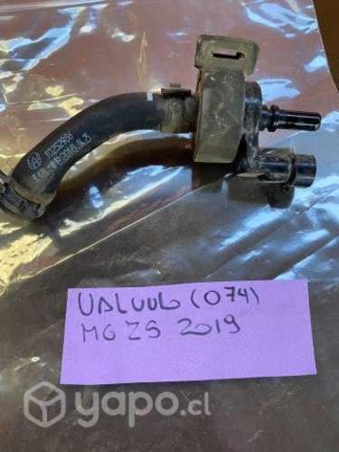 Valvula (074) MG ZS 2019