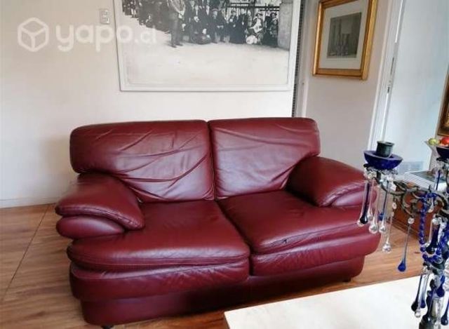 Sofás de cuero de 2 cuerpos