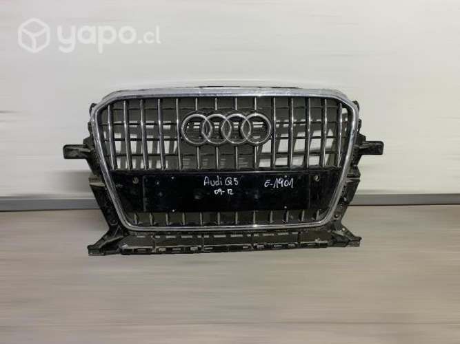 Mascara audi q