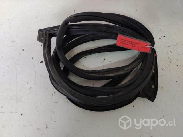 Goma Contorno Puerta Delantera Der (MGZ069) MG ZS