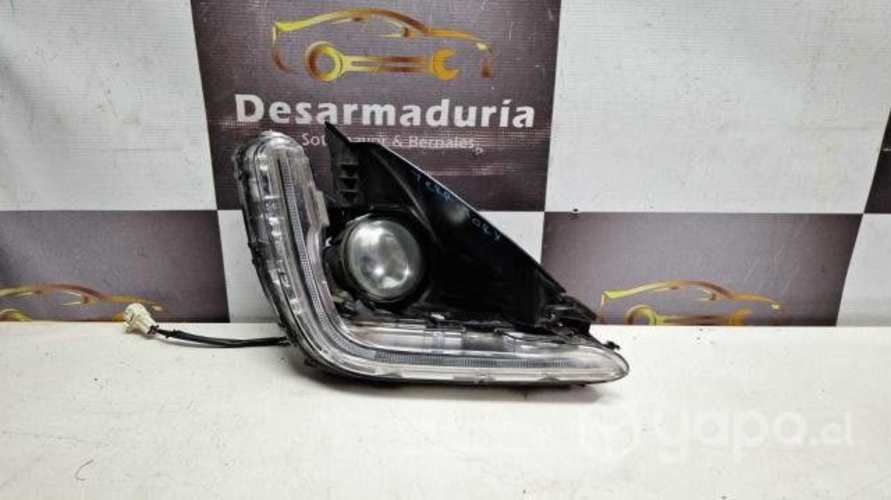 Neblinero Territory Rh 2.1