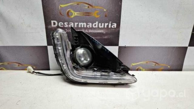 Neblinero Territory Rh 2.1