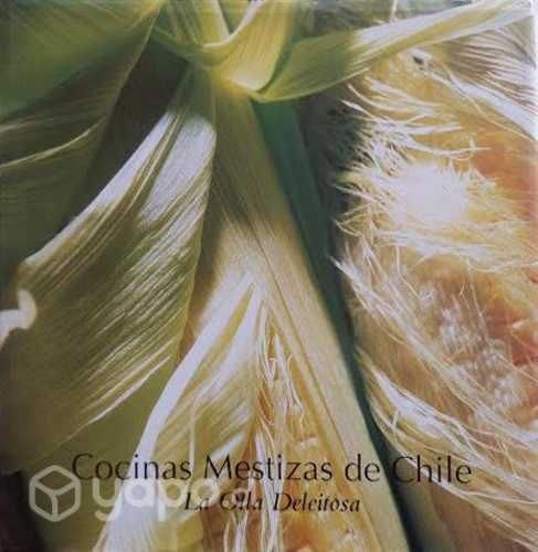 Cocinas mestizas de chile