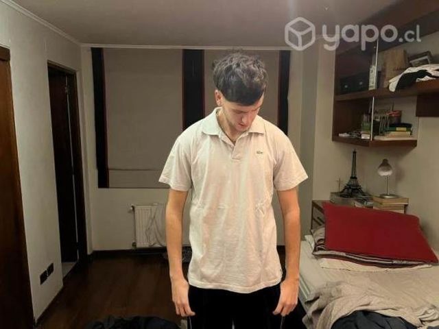 Polera Lacoste original talla L color Gris Claro