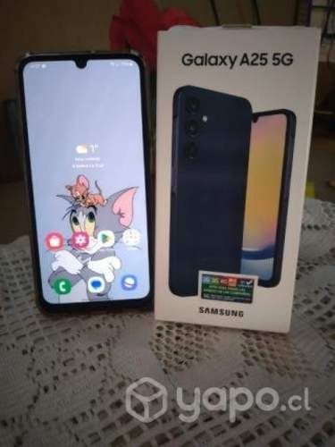 Samsung Galaxy A25 5G