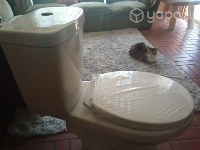 Sanitario nuevo Vessanti