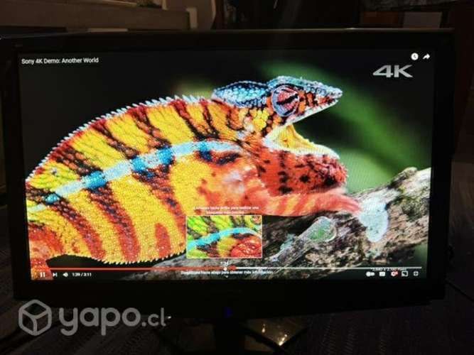 Monitor FHD Viewsonic VA2448M