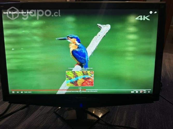 Monitor FHD Viewsonic VA2448M