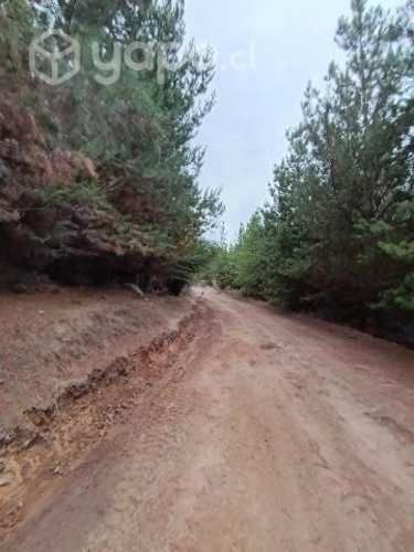 Venta de Parcelas CHEPICA