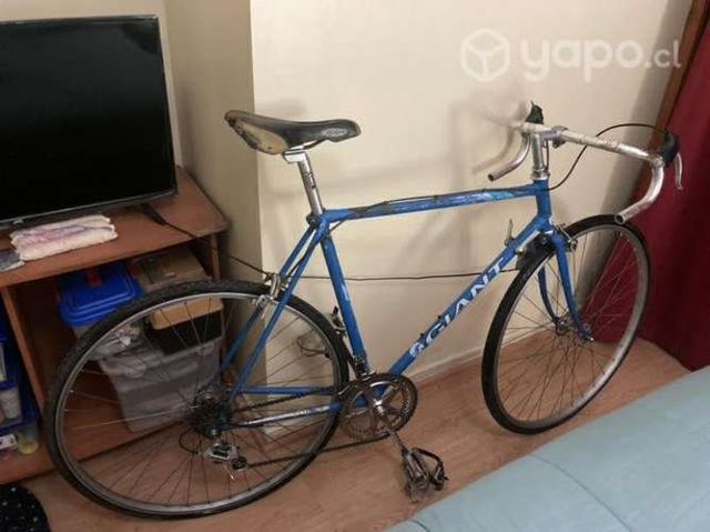 Pistera Rutera Giant Bianchi Talla 54