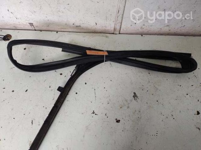 Goma Moldura Vidrio Puerta Del Izq (PEX088) Expert