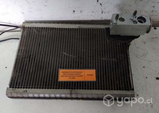 Radiador Evaporador Aire Ac (PEX156) Expert 2.0