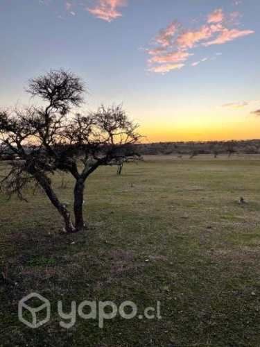 SE VENDE TERRENO 6ta REGION LITUECHE