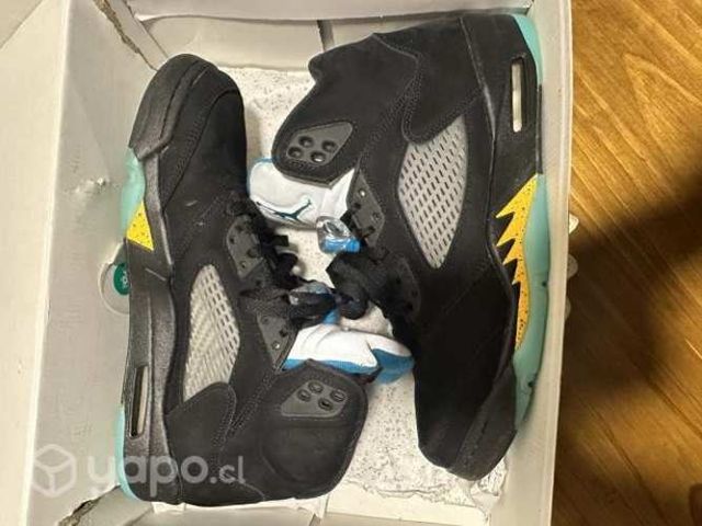 Air Jordan 5 retro