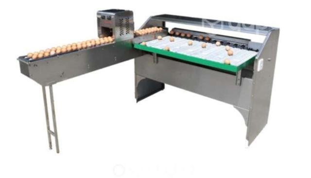 Seleccionadora clasificadora de huevos por peso