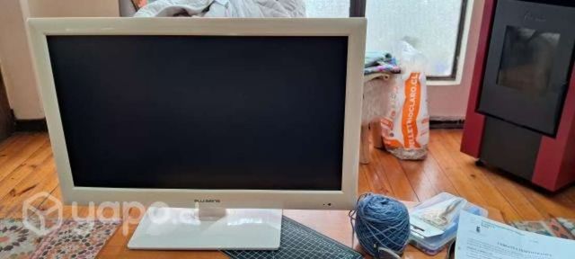 Televisor y/o Monitor para Pc 21 pulgadas