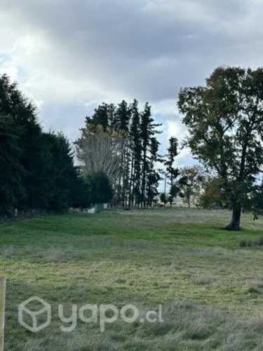 Parcela 5.000 mt2 sector 9 de julio, Freire