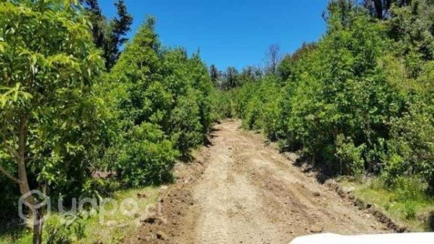 Ecoparcelas Valdivia