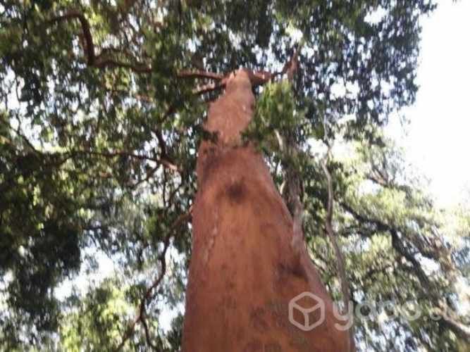 Ecoparcelas Valdivia