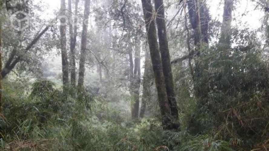 Ecoparcelas Valdivia