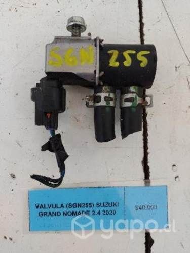 Valvula (SGN255) Suzuki Grand Nomade 2.4 2020