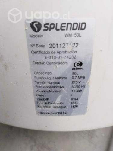 Termo eléctrico - Splendid 50L