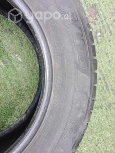 Neumáticos en excelente estado