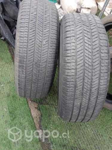 Neumáticos en excelente estado