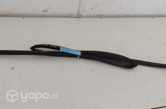 Goma Vidrio Puerta Tras Der (SGN076) Grand Nomade