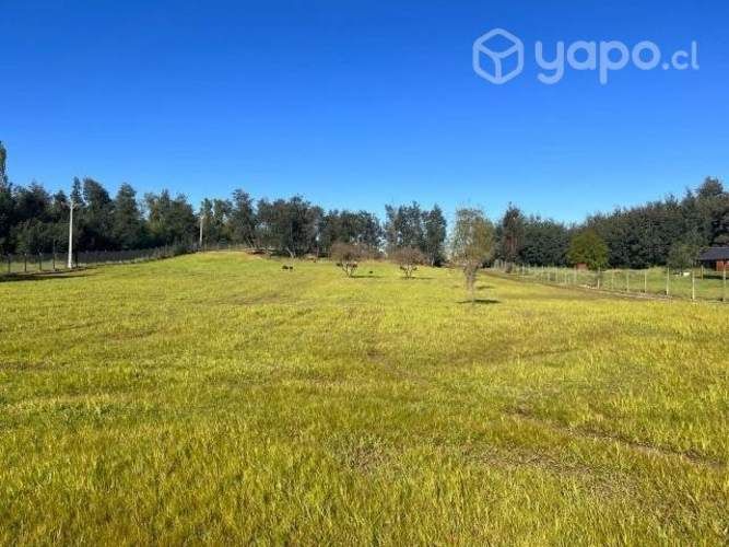 Camping o proyecto de inversión