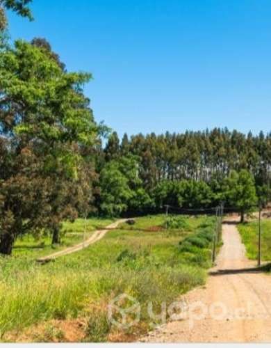 Se vende Parcelación Fundo los Alamos