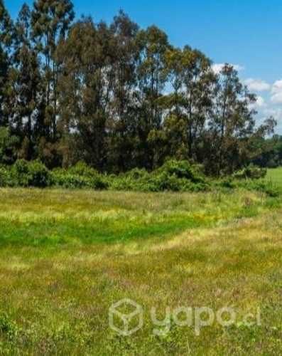 Se vende Parcelación Fundo los Alamos