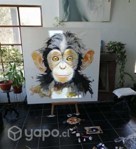 Cuadro mirada de mono