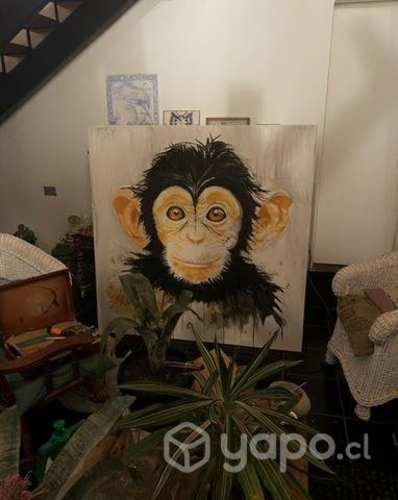 Cuadro mirada de mono