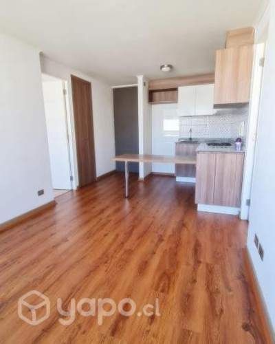 Departamento independencia