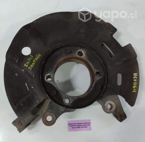 Munon Delantero Derecho (HSF064) Hyundai Santa fe