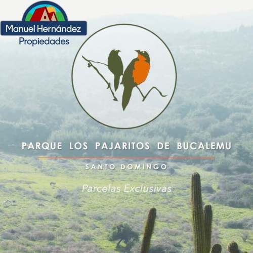 PARCELA EN BUCALEMU, SANTO DOMINGO V REGION