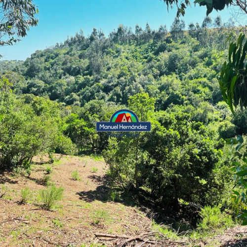 PARCELA EN EL GRAN EUCALIPTUS, SANTO DOMINGO V REGION