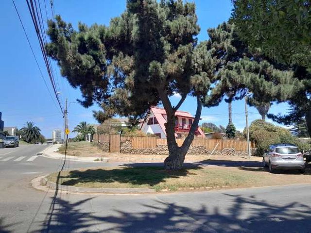 Concón Viejo, Avenida Maroto