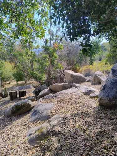 Acogedora cabaña en Oasis de La Campana Hijuelas