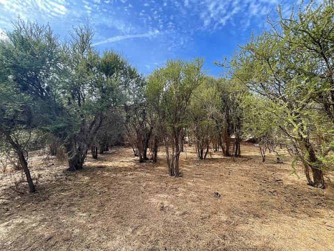 Parcela PARCELA EN RESERVA LAS AÑAÑUCAS (CÓD. 377)