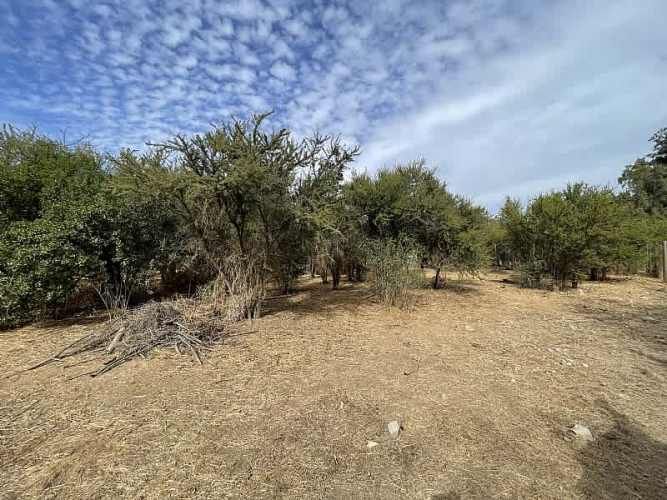 Parcela PARCELA EN RESERVA LAS AÑAÑUCAS (CÓD. 377)