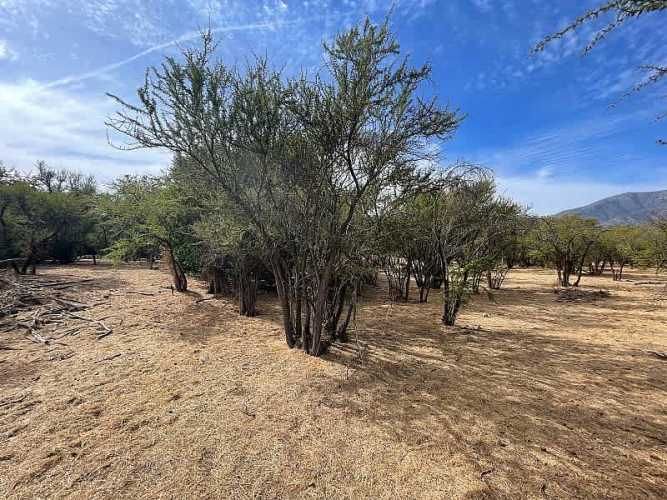 Parcela PARCELA EN RESERVA LAS AÑAÑUCAS (CÓD. 377)