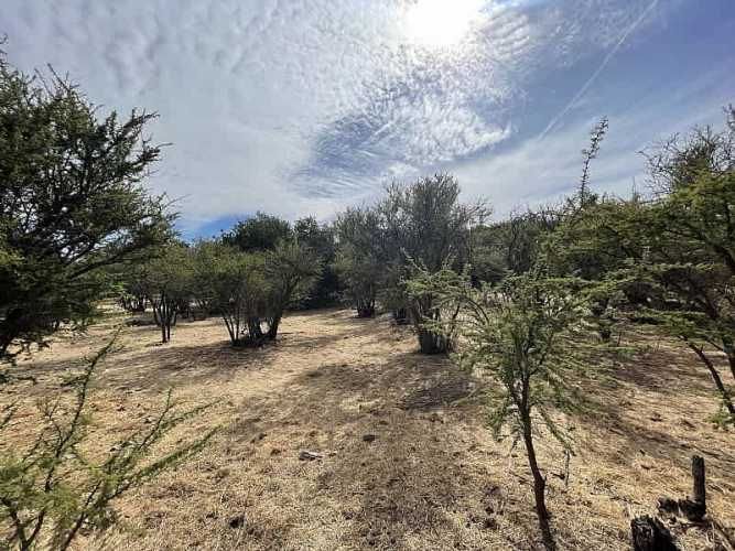 Parcela PARCELA EN RESERVA LAS AÑAÑUCAS (CÓD. 377)