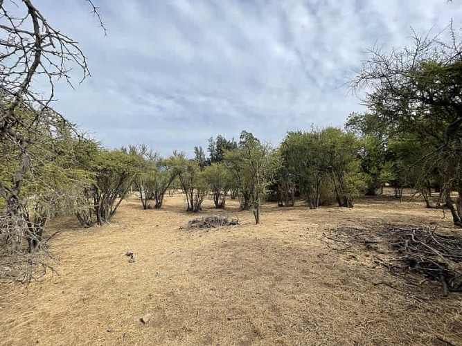 Parcela PARCELA EN RESERVA LAS AÑAÑUCAS (CÓD. 377)