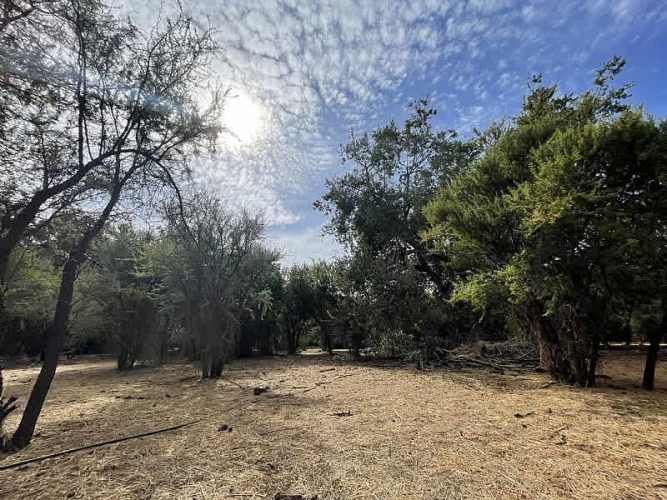 Parcela PARCELA EN RESERVA LAS AÑAÑUCAS (CÓD. 377)