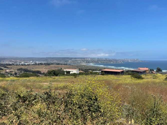 Sitio PARCELA EN VENTA MANTAGUA (CÓD. 278)