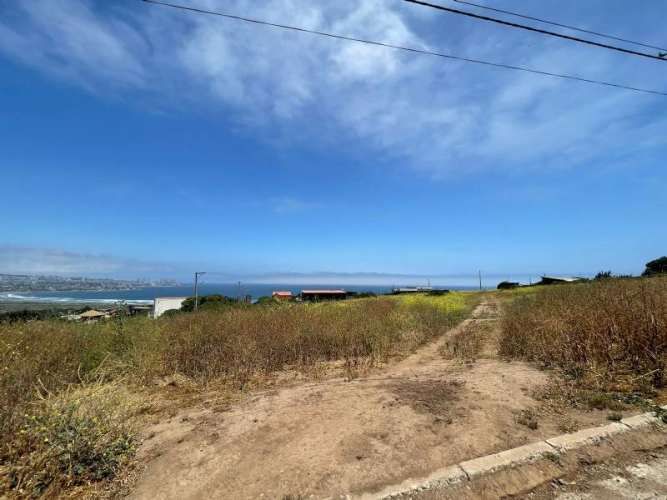 Sitio PARCELA EN VENTA MANTAGUA (CÓD. 278)