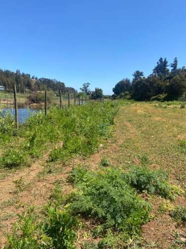 TERRENO CONSTRUCCION Vichuquén