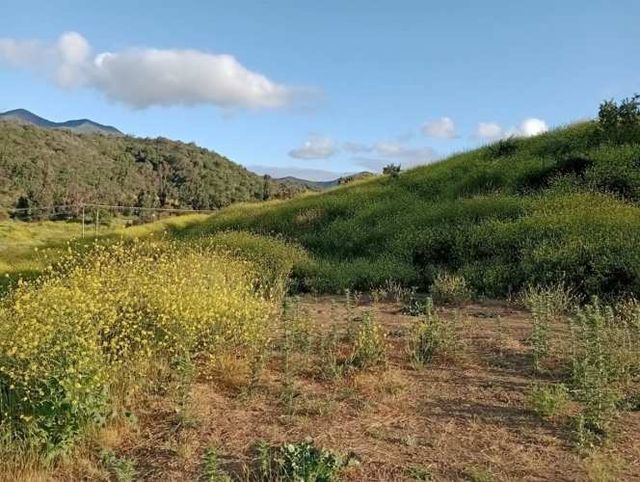 PARCELA Terreno en Quillota, cercano a rotonda Concón